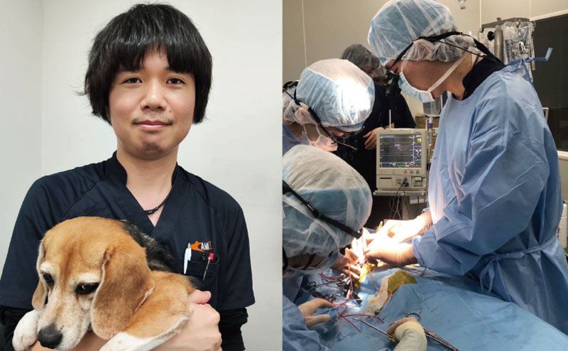 循環器認定医の和田先生