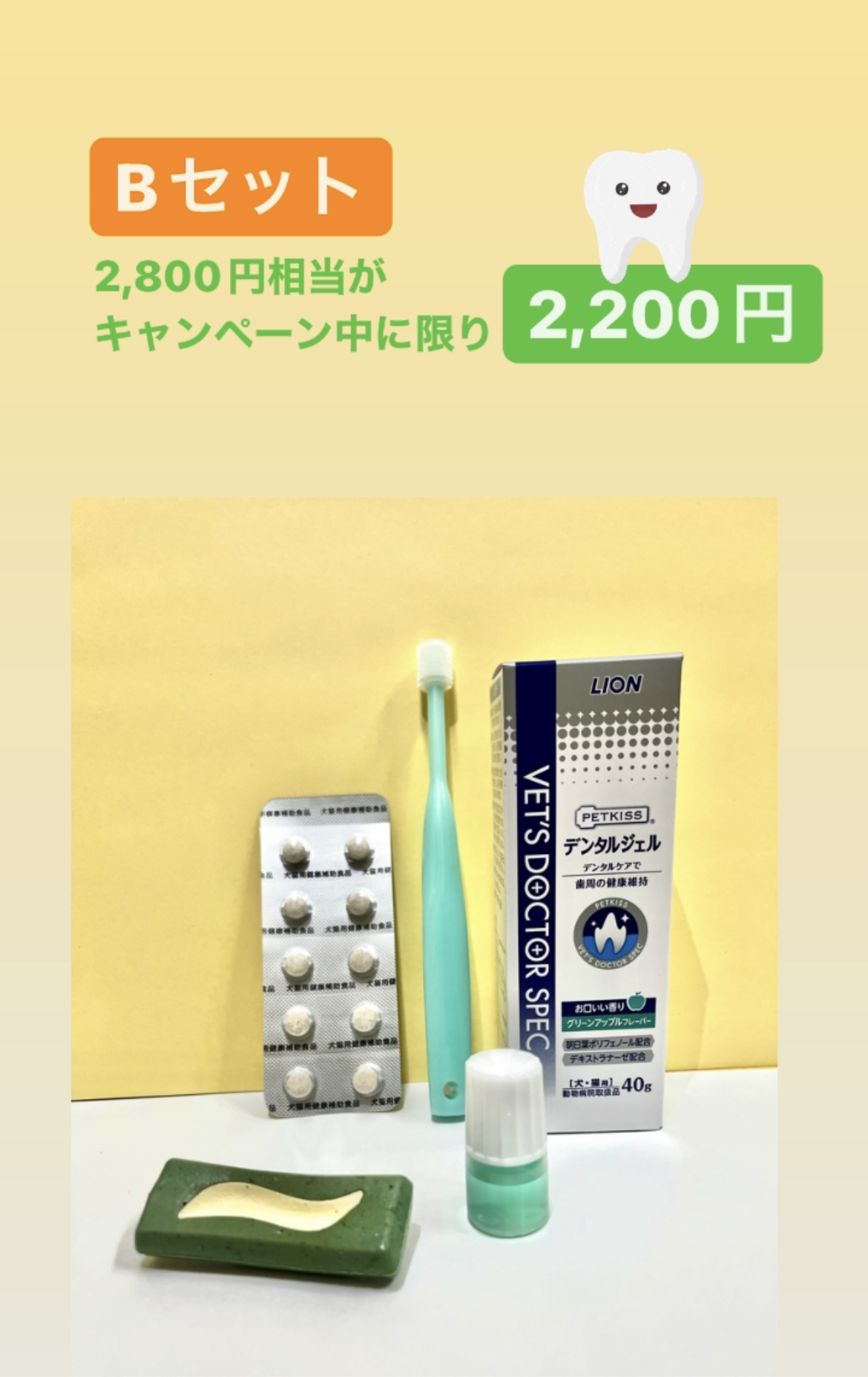 デンタルキャンペーン 期間・数量限定販売 2月末まで！ | 茨木市春日丘